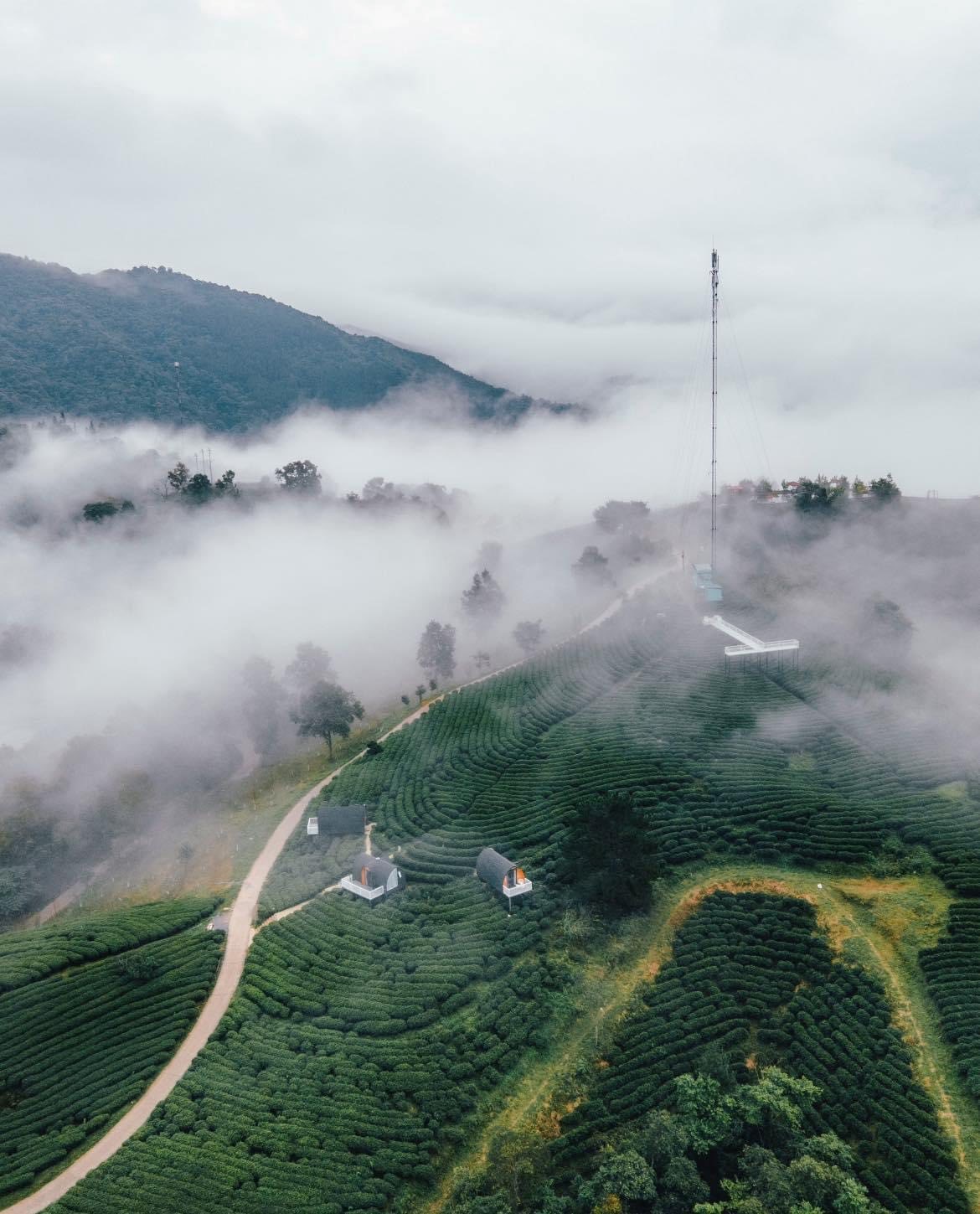 Chè trên cao giữa mây trời